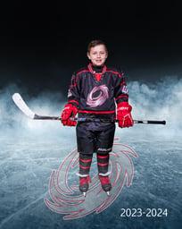 player profile