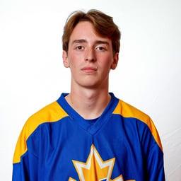 player profile