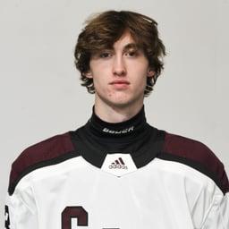 player profile