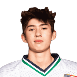 player profile