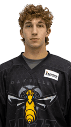 player profile