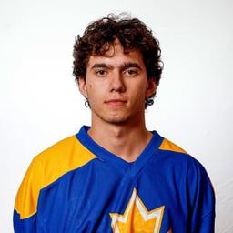 player profile