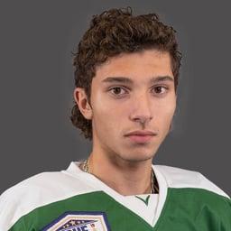 player profile