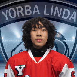 player profile