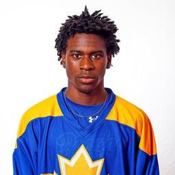player profile