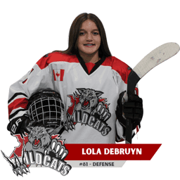 player profile