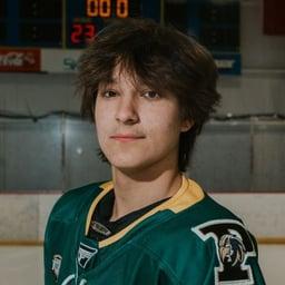 player profile