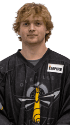 player profile