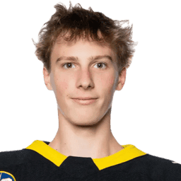 player profile