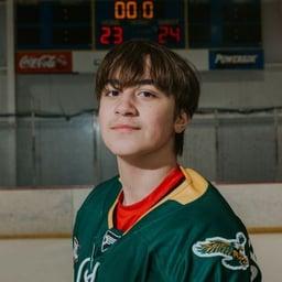 player profile