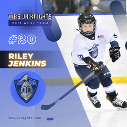 player profile