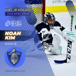 player profile