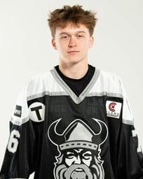 player profile