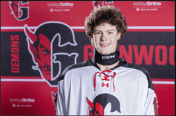 player profile
