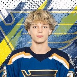 player profile