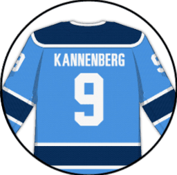 player profile