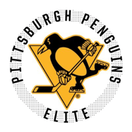 team Pittsburgh Pens Elite logo