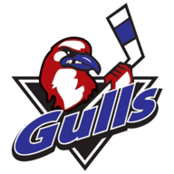 team Long Island Gulls logo